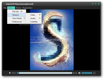 DejaVu3D Player screenshot 3