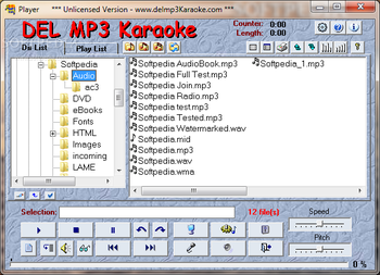 DEL MP3 Karaoke screenshot