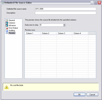 Delimited File Source screenshot 7