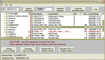 DelinvFile Portable screenshot