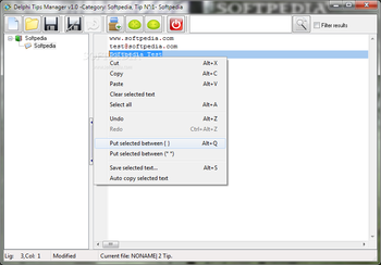 Delphi Tips Manager screenshot