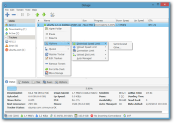 Deluge screenshot