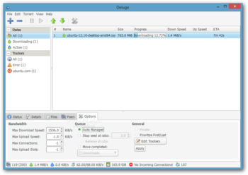 Deluge screenshot 2