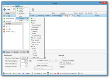 Deluge screenshot 4