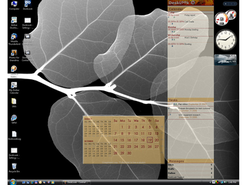 DeskLook screenshot 3