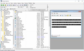 Desktop Explorer screenshot 11