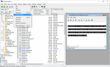 Desktop Explorer screenshot 6