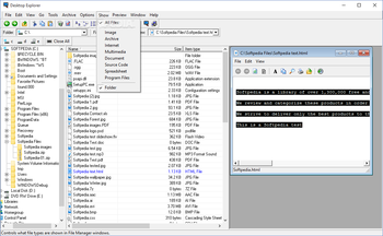 Desktop Explorer screenshot 9