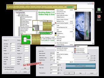 Desktop Ruler screenshot 3