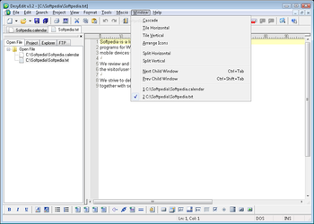 DesyEdit screenshot 9