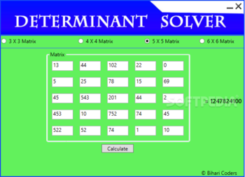 DETERMINANT SOLVER screenshot