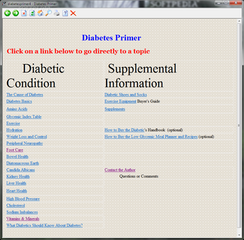 Diabetes Primer screenshot