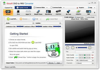 Dicsoft DVD to MKV Converter screenshot