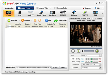 Dicsoft MKV Video Converter screenshot 2