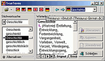 Dictionary Portuguese PC screenshot