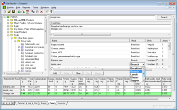 Diet Studio screenshot