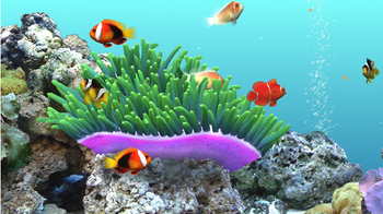 DigiFish Clownfish screenshot 3