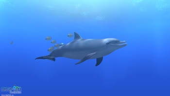 DigiFish Dolphin screenshot