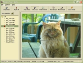Digital Frame Mate screenshot