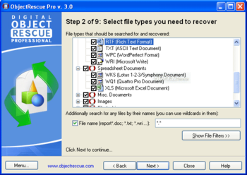 Digital ObjectRescue Professional screenshot 2
