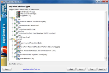 Digital ObjectRescue Professional screenshot 3