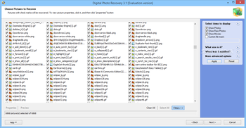 Digital Photo Recovery screenshot 4
