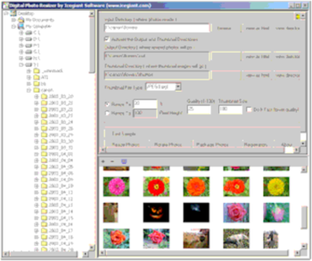 Digital Photo Resizer screenshot