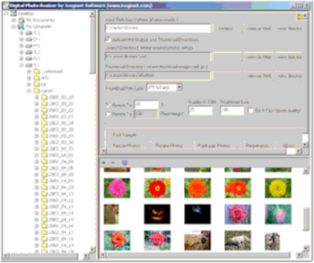 Digital Photo Resizer screenshot 2