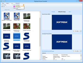 Digitope Picture Converter screenshot 3