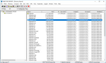 Directory Report screenshot