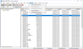 Directory Report screenshot 10
