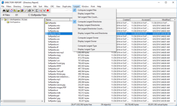 Directory Report screenshot 11