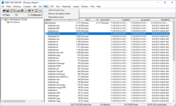 Directory Report screenshot 8