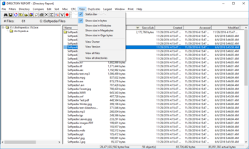 Directory Report screenshot 9