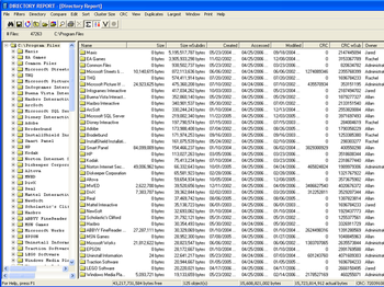 Directory Report screenshot 2