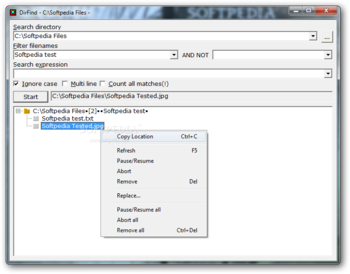 DirFind screenshot