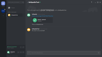 Discord screenshot 6