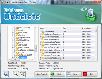 Disk Doctors Undelete screenshot 2