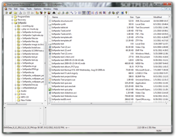 Disk Explorer Professional screenshot