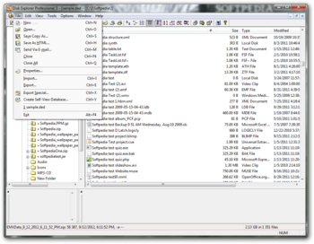 Disk Explorer Professional screenshot 2