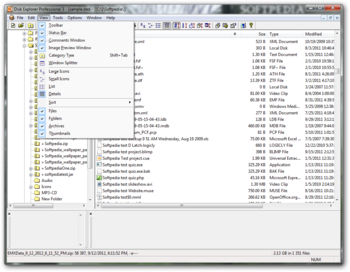 Disk Explorer Professional screenshot 4