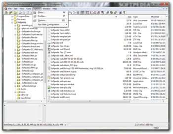 Disk Explorer Professional screenshot 6