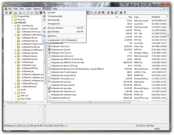 Disk Explorer Professional screenshot 7