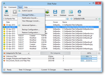 Disk Pulse screenshot 3