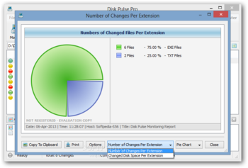 Disk Pulse Pro screenshot 9