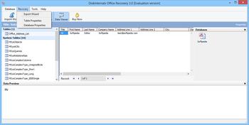 DiskInternals Office Recovery screenshot 13