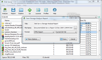 DiskSavvy screenshot 4