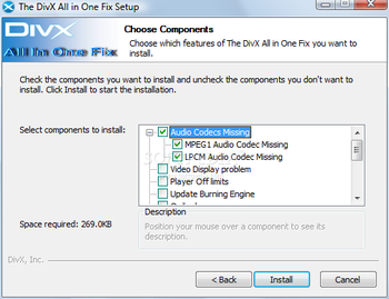 DivX All In One Fix screenshot