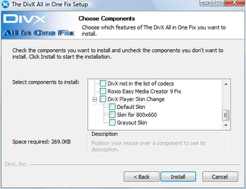 DivX All In One Fix screenshot 4