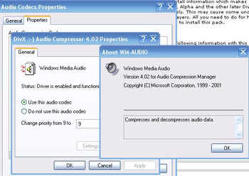 DivX MPEG-4 Audio Codec screenshot